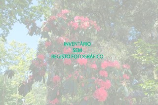 Jardim Boto Machado / Jardim de Santa Clara