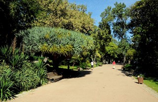 Jardim da Estrela