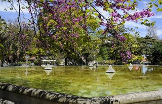 Príncipe Real Garden