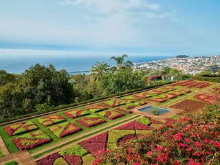 Jardin Botanique de Madére