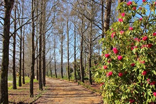 Quinta de Mourães