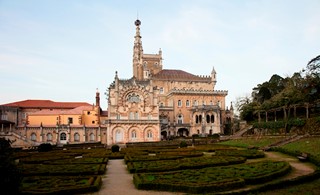 Forêt Nationale de Bussaco