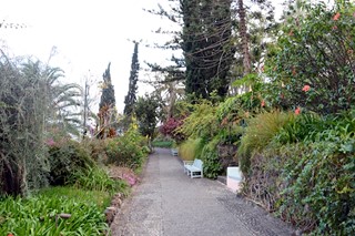 Jardim do Belmond Reid’s Palace Hotel