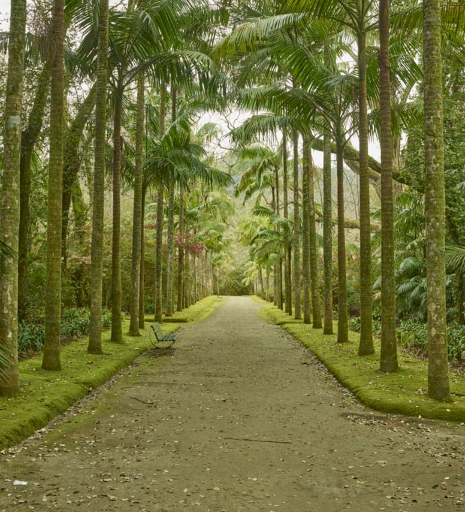 Jardins dos Açores — entre o Mar e a Terra / 24—28 SETEMBRO