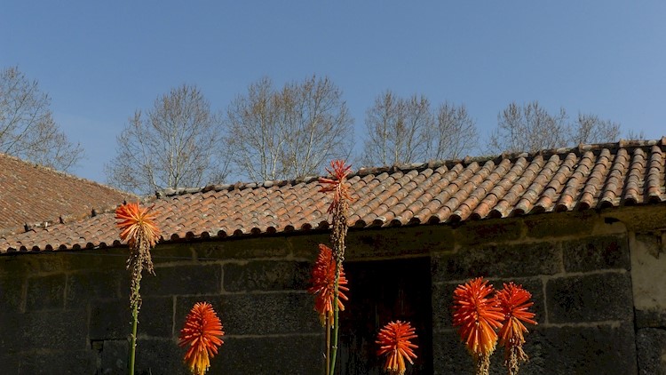 Casa das Eiras