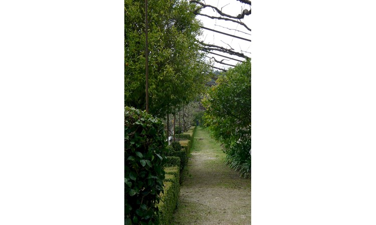 Casa do Campo