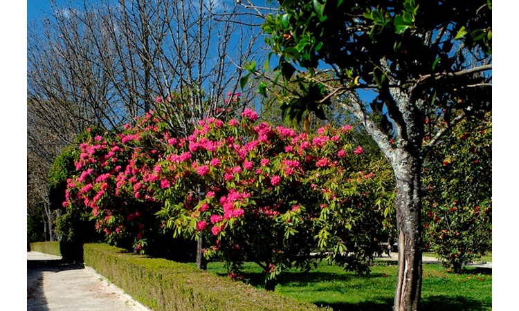 Quinta do Prado