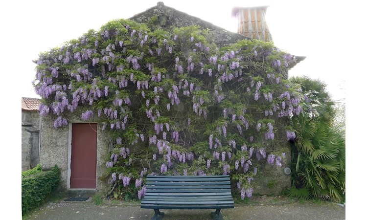 Casa de Caselhos de Cima