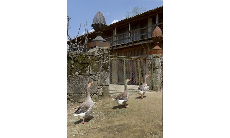 Casa de Piellas