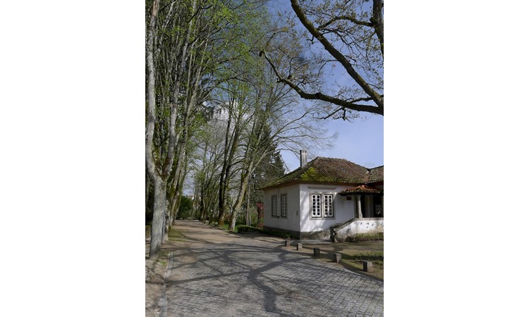 Amarante Forest Park