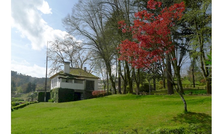 Amarante Forest Park
