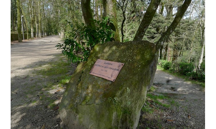 Amarante Forest Park