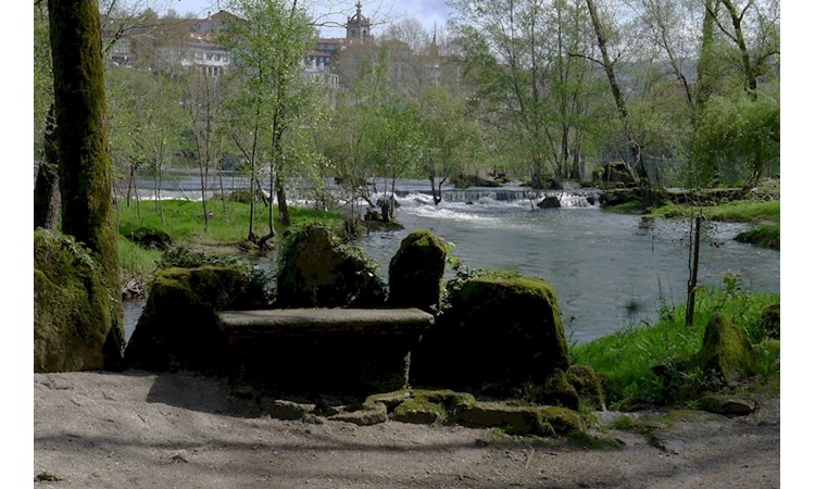 Amarante Forest Park