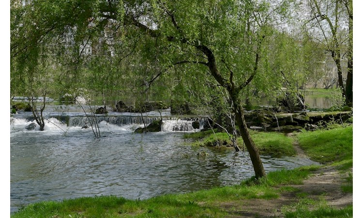 Amarante Forest Park