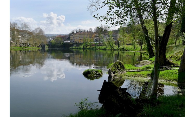 Amarante Forest Park