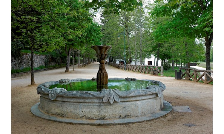 Parque das Pedras Salgadas