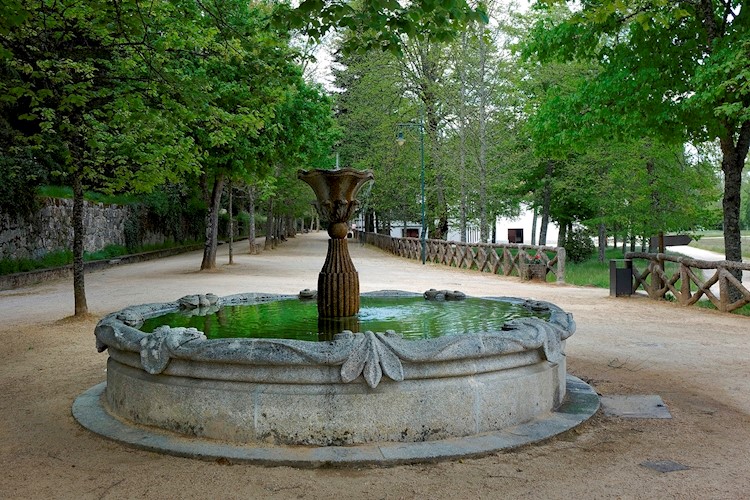 Parc de Pedras Salgadas