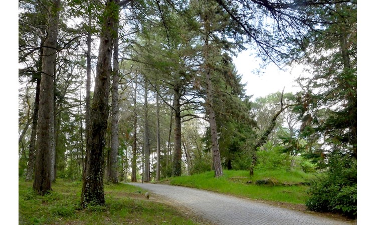 Parque das Pedras Salgadas