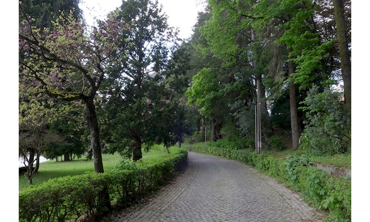 Vila Pouca de Aguiar Forest Park