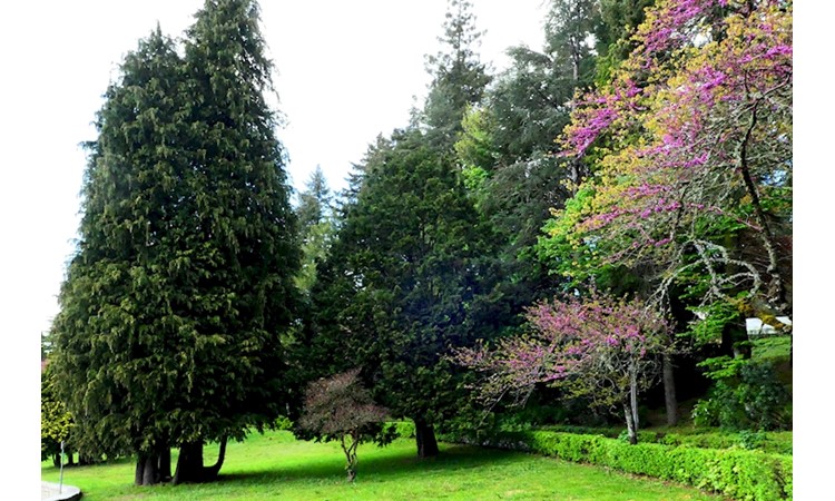 Vila Pouca de Aguiar Forest Park