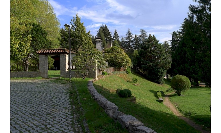 Vila Pouca de Aguiar Forest Park