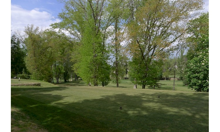 Vidago Park
