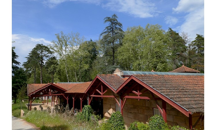 Vidago Park