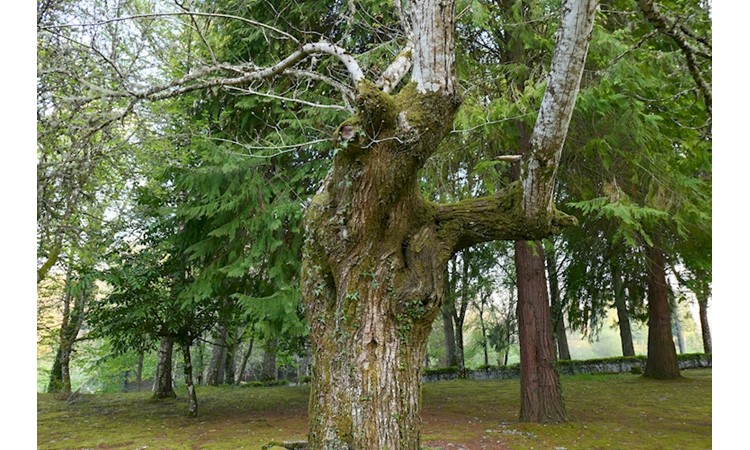 Carvalhelhos Thermal Park
