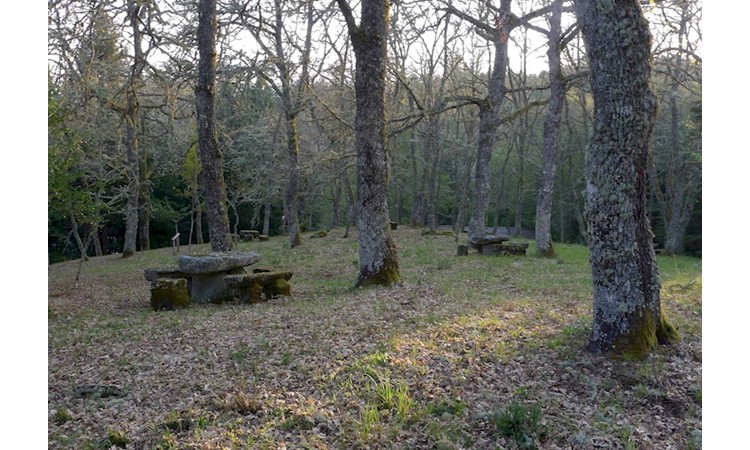 Carvalhelhos Thermal Park
