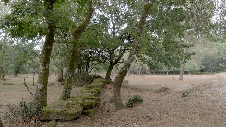 Quinta da Coutada