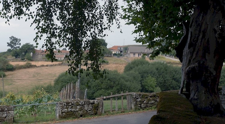Monastery of Fiães