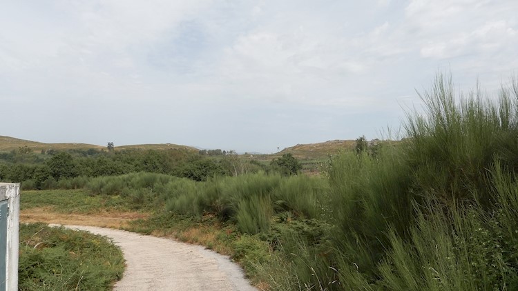 Monastery of Fiães