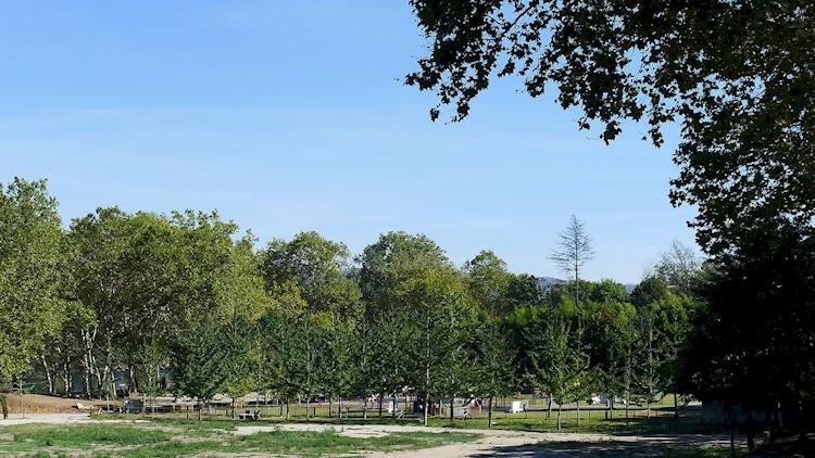 Fortress of Monção