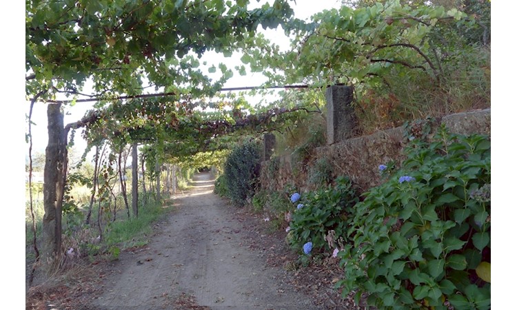 Casa de Nossa Senhora da Aurora