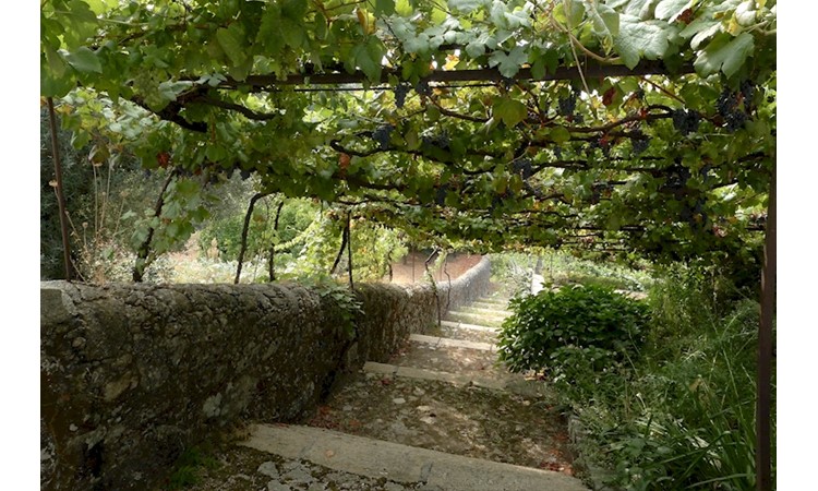 Paço de Calheiros