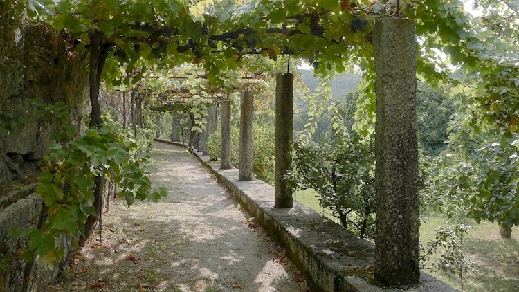 Paço de Calheiros