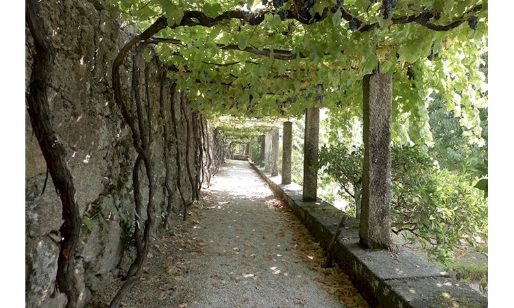 Paço de Calheiros