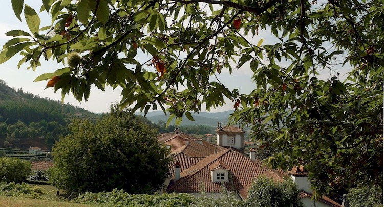 Revisitar o Paço de Calheiros, uma viagem ao passado – Tudo Sobre Jardins  Online