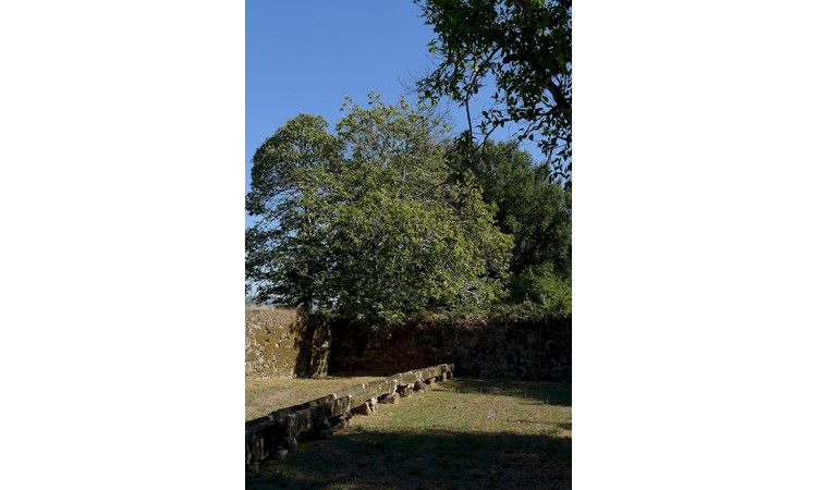 Paço de Vitorino