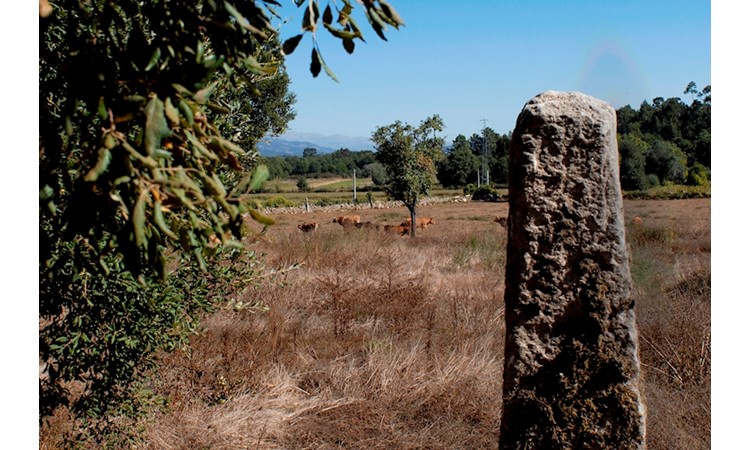 Paço de Vitorino