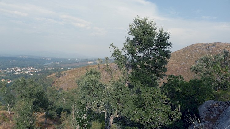 Monastery of Sanfins de Friestas