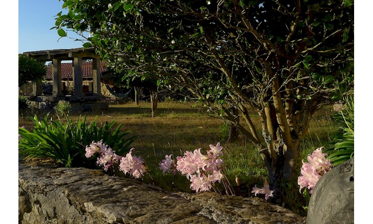 Convent of São Paio