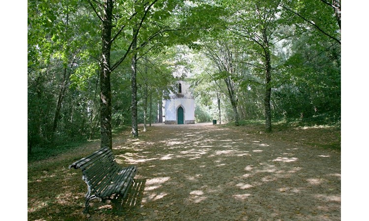 Palace of Brejoeira