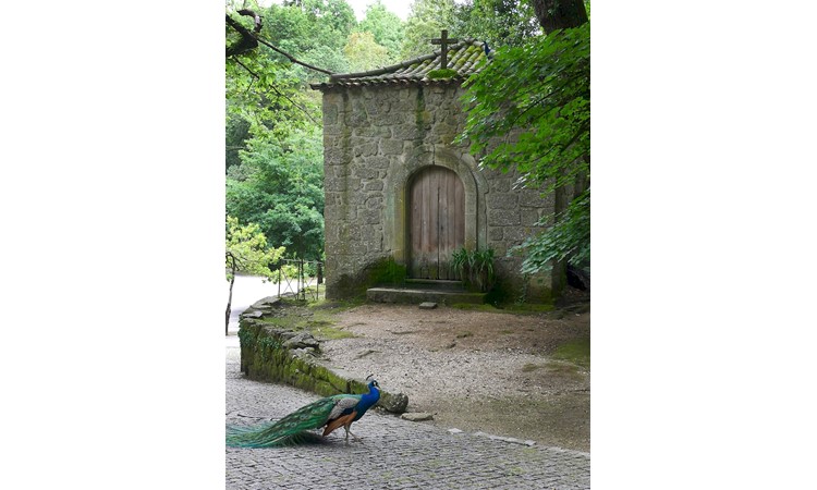 Fontelo Park