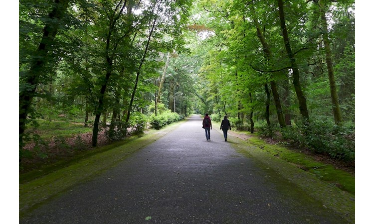 Fontelo Park