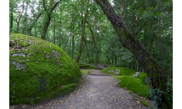 Fontelo Park