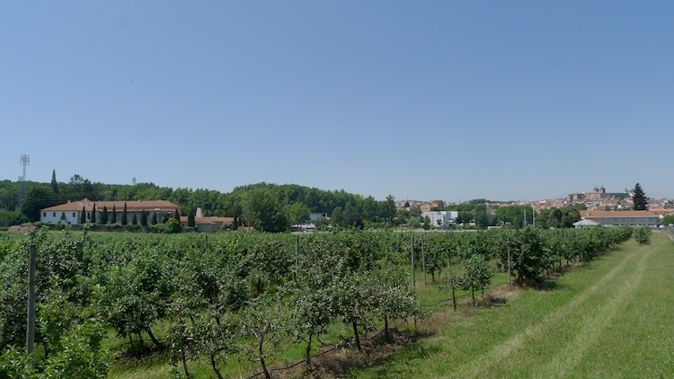 Fontelo Park