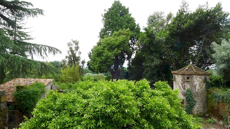 Quinta de Chão de São Francisco
