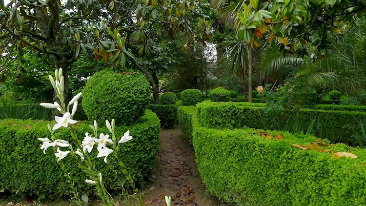 Quinta de Chão de São Francisco