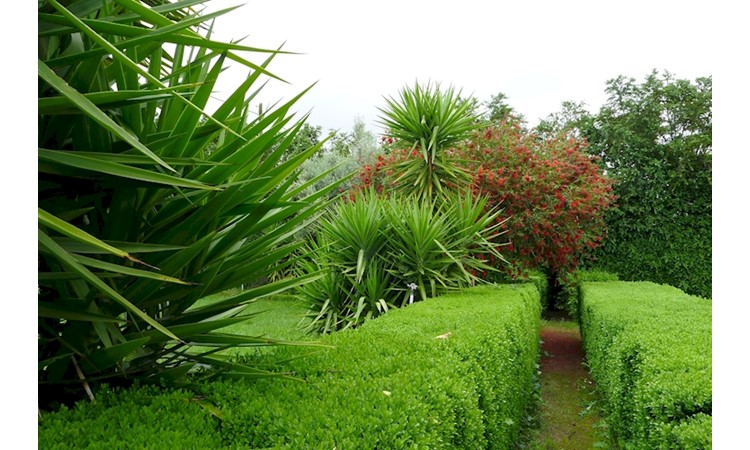 Quinta de Chão de São Francisco